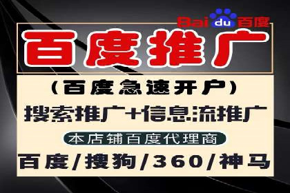 成功案例：一家初创企业如何通过百度关键词推广快速崛起